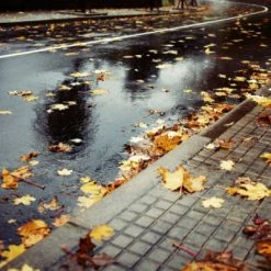 Pneu Vélo Michelin StarGrip 700 X 40C Réflecto 11 Pneu Vélo Michelin StarGrip 700 X 40C Réflecto -Par taille Soldes pneu velo michelin stargrip 700x40c reflecto full 5